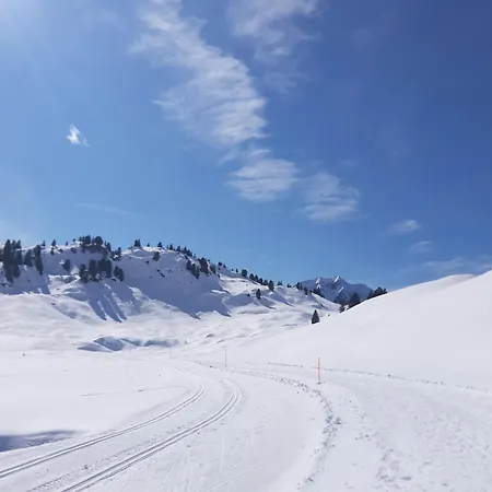 Berghof Holiday home *