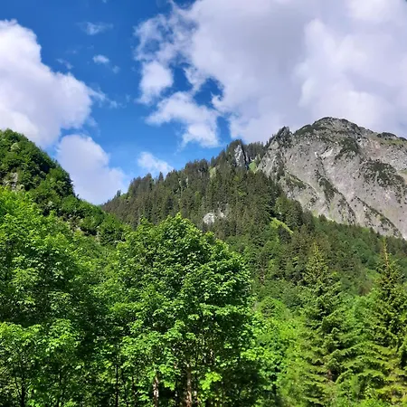 Berghof Holiday home